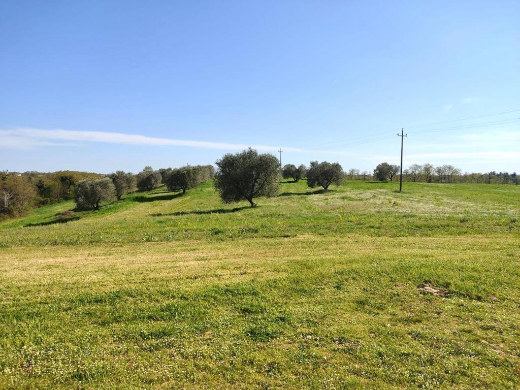 Podere San Giuseppe Acquapendente Kültér fotó